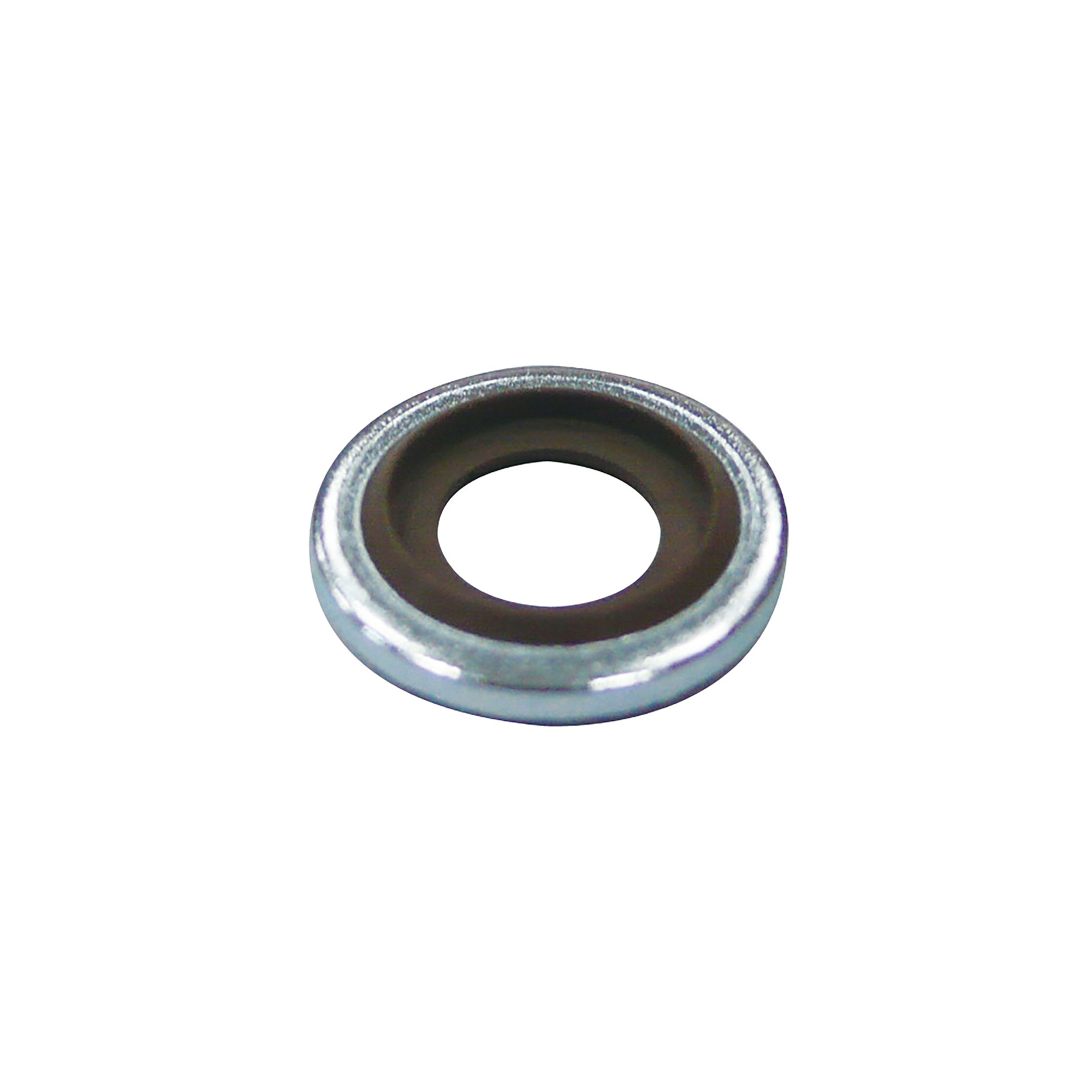 Oil Seal M6