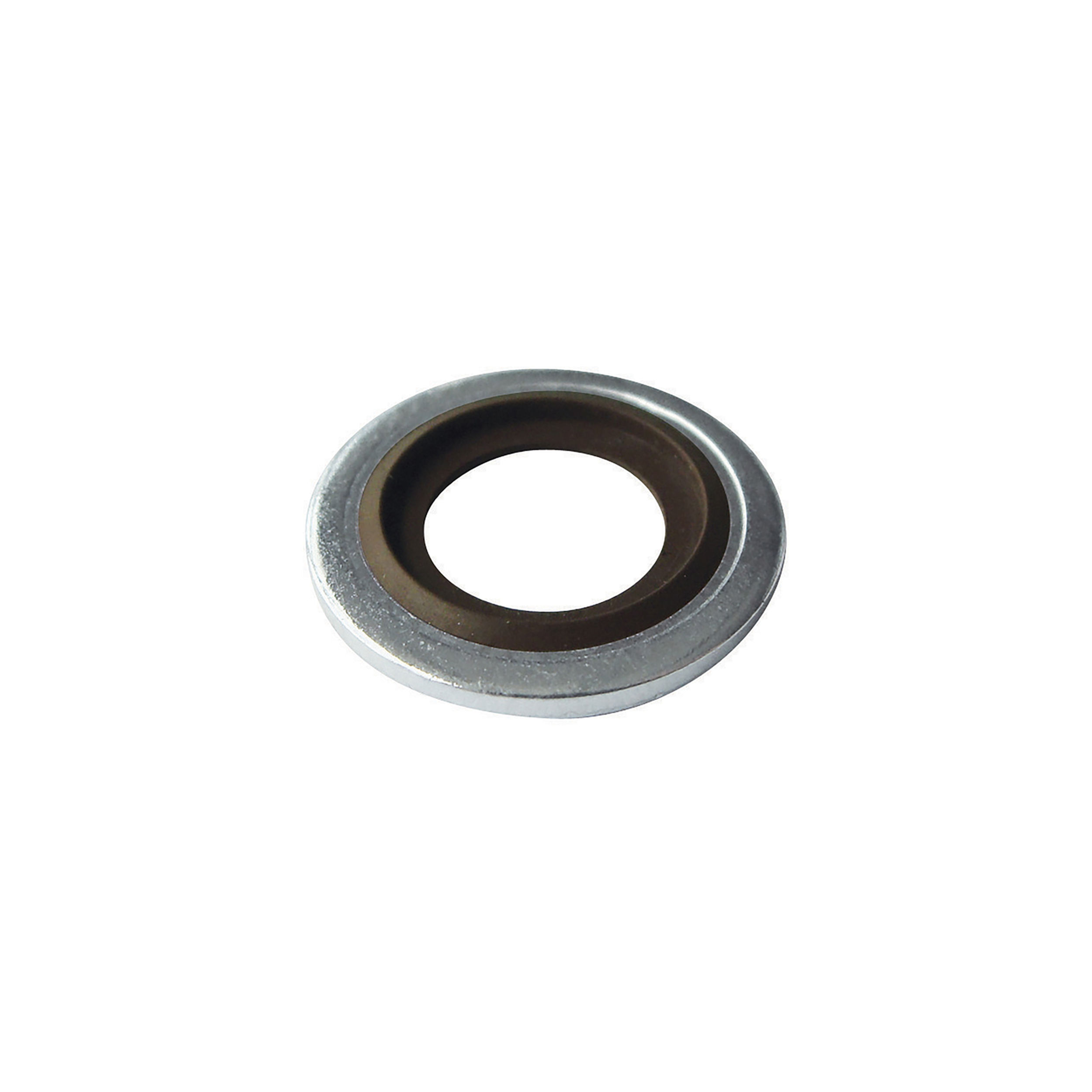 Oil Seal M6