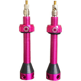 Tubeless-Ventile Aluminium pink