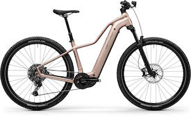 Backfire Fit R1000 EP1 Desert Rose