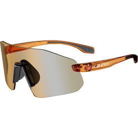 Orion Transparent Bronze