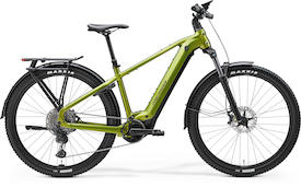 MERIDA eFloat CC 600 EQ II1 fall green(black)