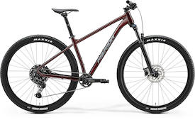 MERIDA Big.Nine 200 IV1 glitter cherry(grey)