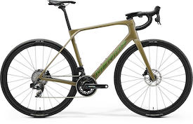 MERIDA Scultura Endurance GR 8000 II2 glossy oak bork(flip-green)