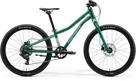 MATTS J. 24+ evergreen(turquoise/black)