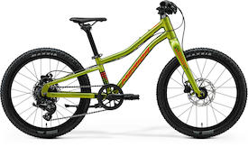 MATTS J. 20+ fall green(red/black)