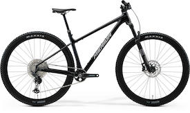 BIG.NINE TR LIMITED metallic black(silver)