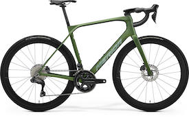 SCULTURA ENDURANCE 8000 matt fog green(silver)