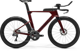 TIME WARP TRI LIMITED burgundy red(black)