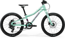 MATTS J. 20+ matt mint(purple/wht/blk)