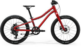 MATTS J. 20+ dark strawberry(race red/blk)