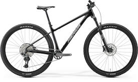 BIG.NINE TR LIMITED metallic black(silver)