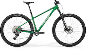 BIG.NINE TR LIMITED dandelion green(silvergreen)