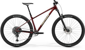 BIG.NINE TR 600 glitter cherry(silver)