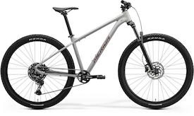 BIG.NINE 200 matt grey(glitter cherry)