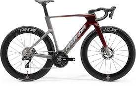REACTO ONE passion red/slate grey(grey)