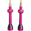 Tubeless-Ventile Aluminium pink