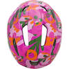 Kid Pro M Pink Foliage