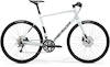 MERIDA Speeder 300 III1 pearl white(guarded gold)