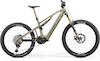 eONE-SIXTY LIMITED oak bork(golden black)