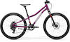 MATTS J. 24+ silk purple(white/red/black)
