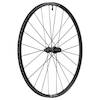 Laufrad E 1800 SPLINE 20 mm