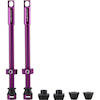 Tubeless-Ventile Procraft